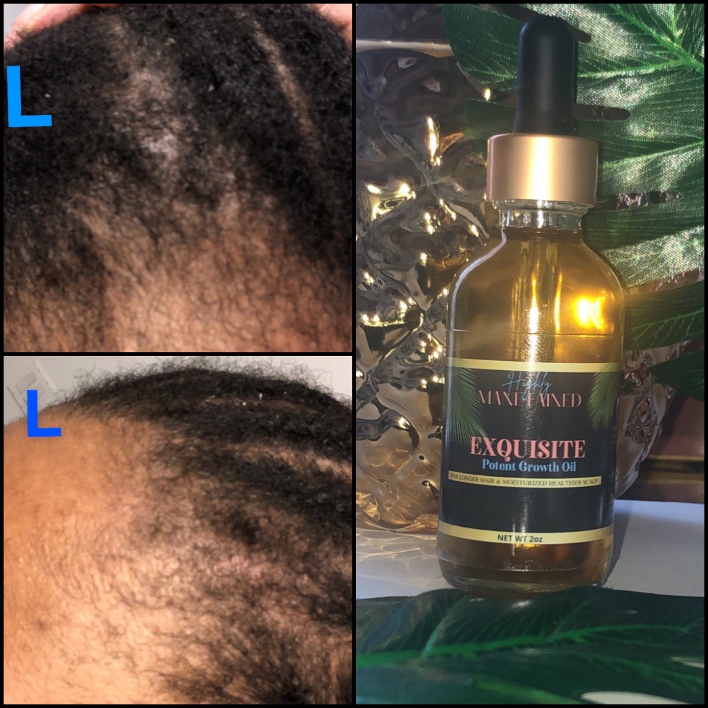 “ Exquisite” Potent Growth Oil